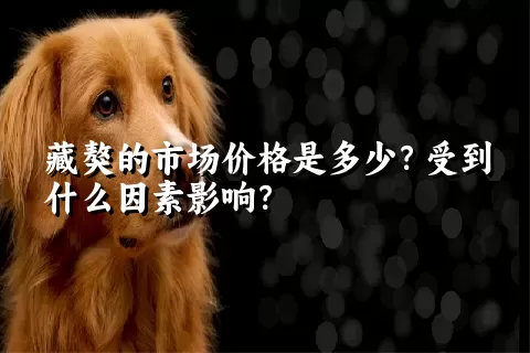 藏獒的市场价格是多少？受到什么因素影响？