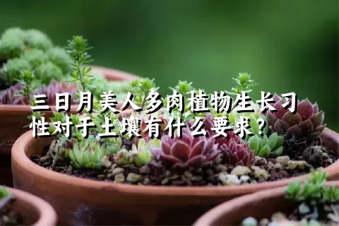 三日月美人多肉植物生长习性对于土壤有什么要求？	