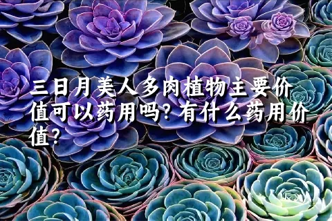 三日月美人多肉植物主要价值可以药用吗？有什么药用价值？