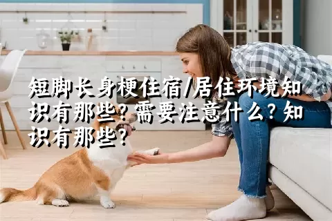 短脚长身梗住宿/居住环境知识有那些？需要注意什么？知识有那些？