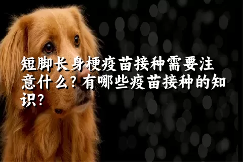 短脚长身梗疫苗接种需要注意什么？有哪些疫苗接种的知识？