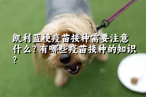 凯利蓝梗疫苗接种需要注意什么？有哪些疫苗接种的知识？