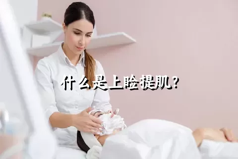 什么是上睑提肌？