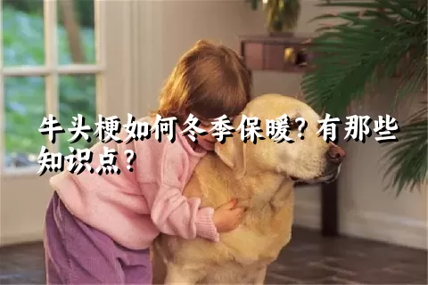 牛头梗如何冬季保暖？有那些知识点？