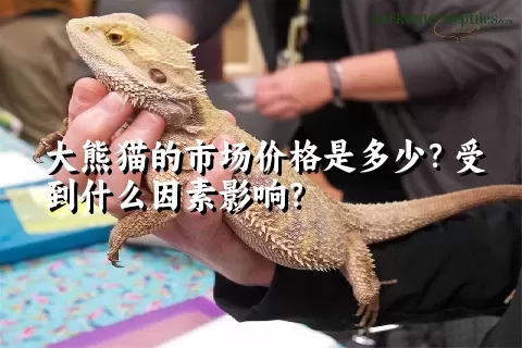 大熊猫的市场价格是多少？受到什么因素影响？