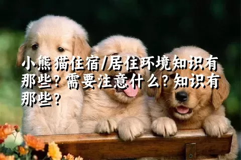 小熊猫住宿/居住环境知识有那些？需要注意什么？知识有那些？