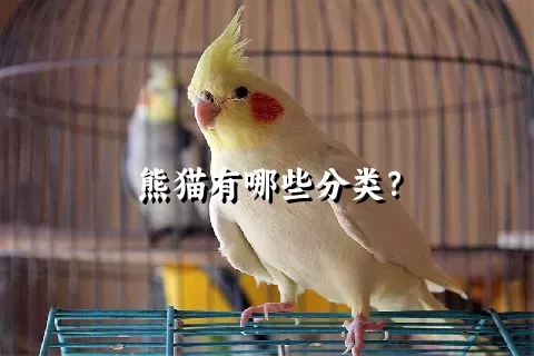 熊猫有哪些分类？