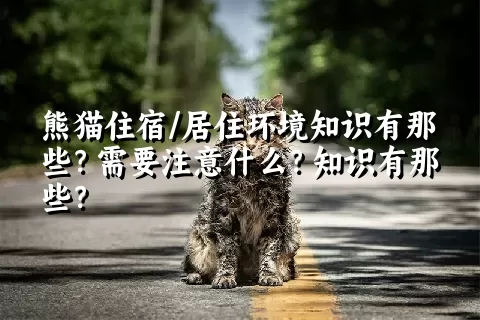 熊猫住宿/居住环境知识有那些？需要注意什么？知识有那些？