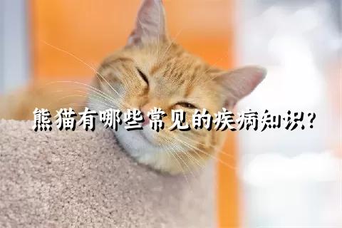 熊猫有哪些常见的疾病知识？