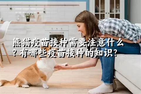 熊猫疫苗接种需要注意什么？有哪些疫苗接种的知识？