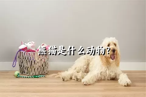 熊猫是什么动物？