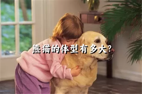 熊猫的体型有多大？