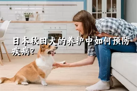 日本秋田犬的养护中如何预防疾病？