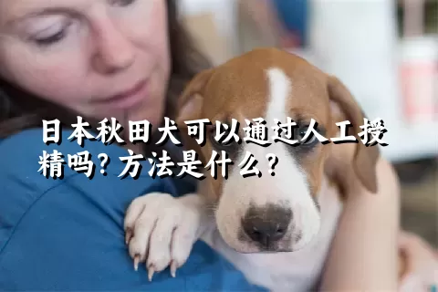 日本秋田犬可以通过人工授精吗？方法是什么？