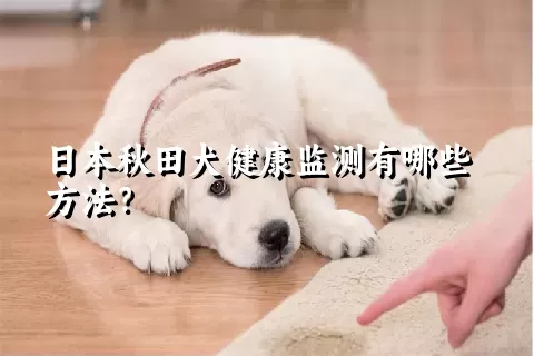 日本秋田犬健康监测有哪些方法？