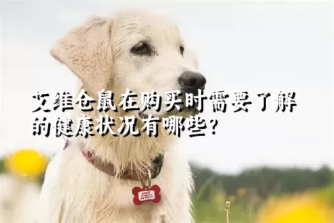 艾维仓鼠在购买时需要了解的健康状况有哪些？