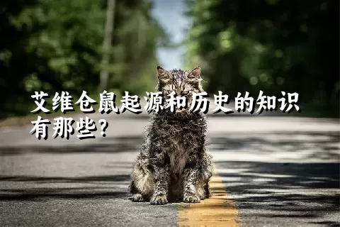 艾维仓鼠起源和历史的知识有那些？