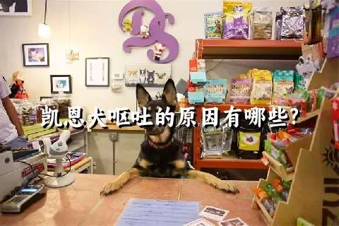 凯恩犬呕吐的原因有哪些?