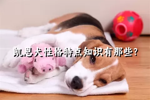 凯恩犬性格特点知识有那些？