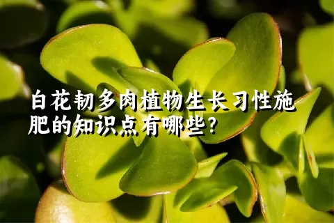 白花韧多肉植物生长习性施肥的知识点有哪些？	