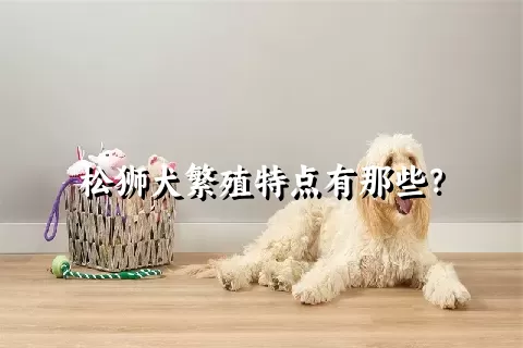 松狮犬繁殖特点有那些？