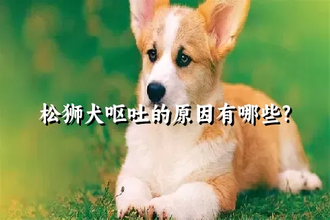 松狮犬呕吐的原因有哪些?