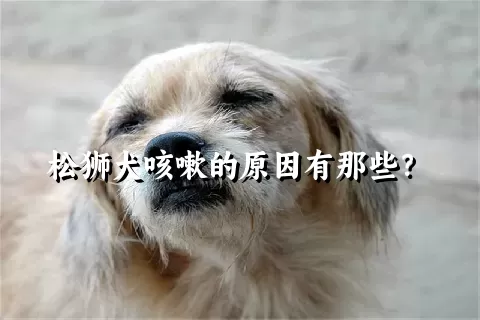 松狮犬咳嗽的原因有那些？ 