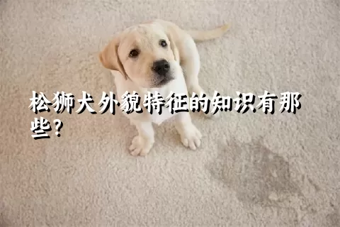 松狮犬外貌特征的知识有那些？