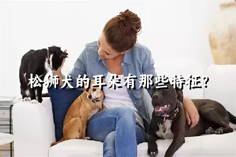 松狮犬的耳朵有那些特征？