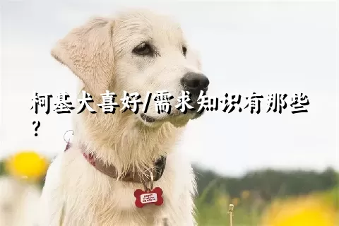 柯基犬喜好/需求知识有那些？