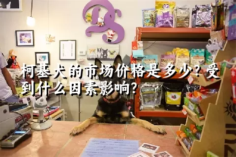 柯基犬的市场价格是多少？受到什么因素影响？