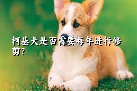 柯基犬是否需要每年进行修剪？