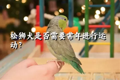 松狮犬是否需要常年进行运动？