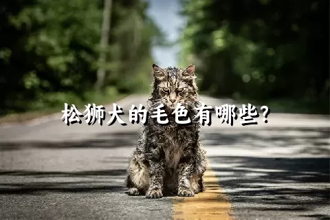 松狮犬的毛色有哪些？