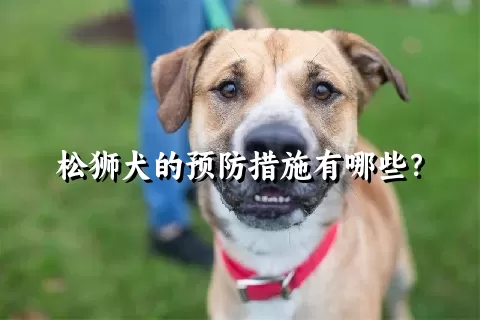 松狮犬的预防措施有哪些？