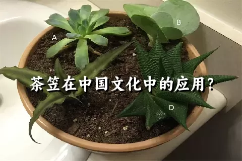 茶笠在中国文化中的应用？