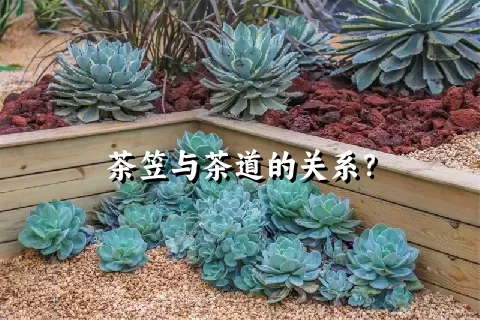 茶笠与茶道的关系？