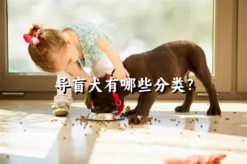 导盲犬有哪些分类？