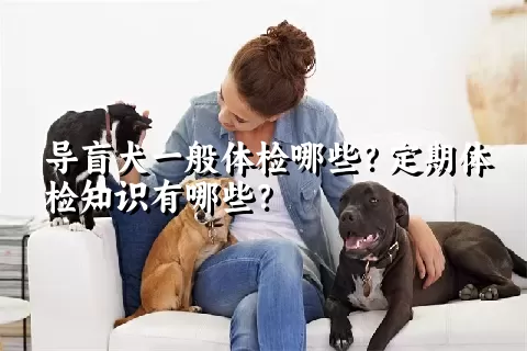 导盲犬一般体检哪些？定期体检知识有哪些？