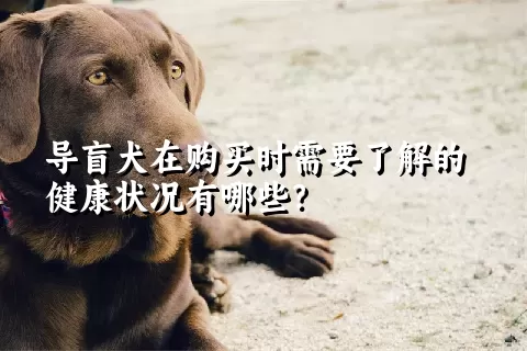 导盲犬在购买时需要了解的健康状况有哪些？