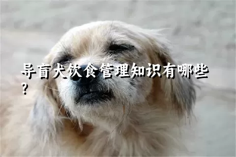 导盲犬饮食管理知识有哪些？ 