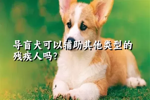 导盲犬可以辅助其他类型的残疾人吗？