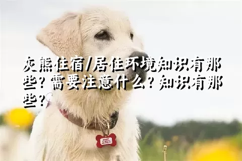 灰熊住宿/居住环境知识有那些？需要注意什么？知识有那些？