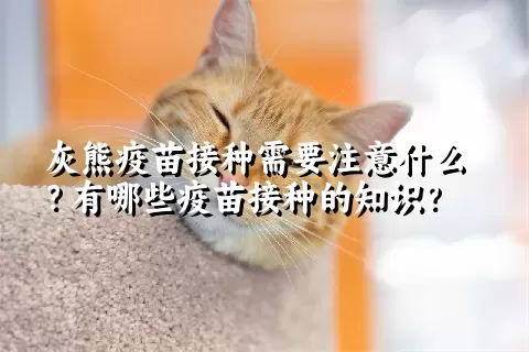 灰熊疫苗接种需要注意什么？有哪些疫苗接种的知识？