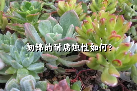 韧锦的耐腐蚀性如何？