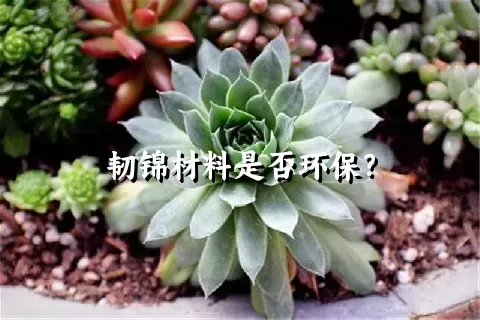 韧锦材料是否环保？