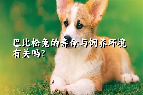 巴比松兔的寿命与饲养环境有关吗？