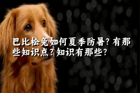 巴比松兔如何夏季防暑？有那些知识点？知识有那些？