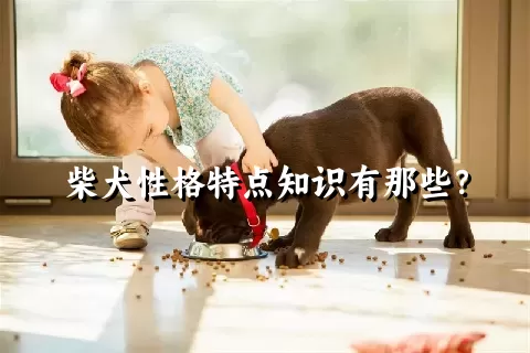 柴犬性格特点知识有那些？