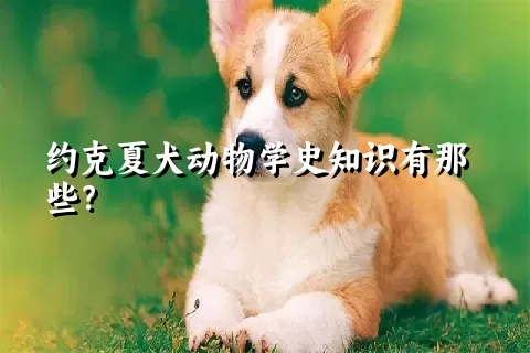 约克夏犬动物学史知识有那些？